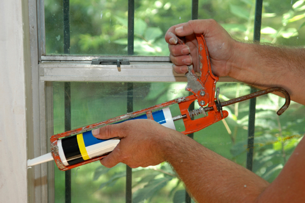 Seal your home from San Antonio critters
